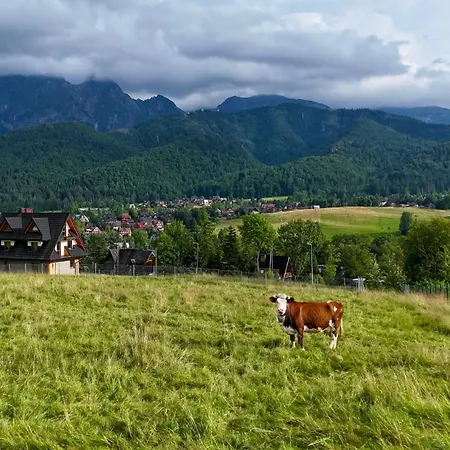 Butorowy 公寓 考斯赛力克