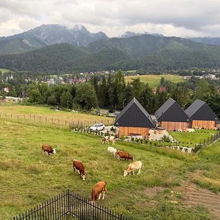 公寓 Butorowy 考斯赛力克